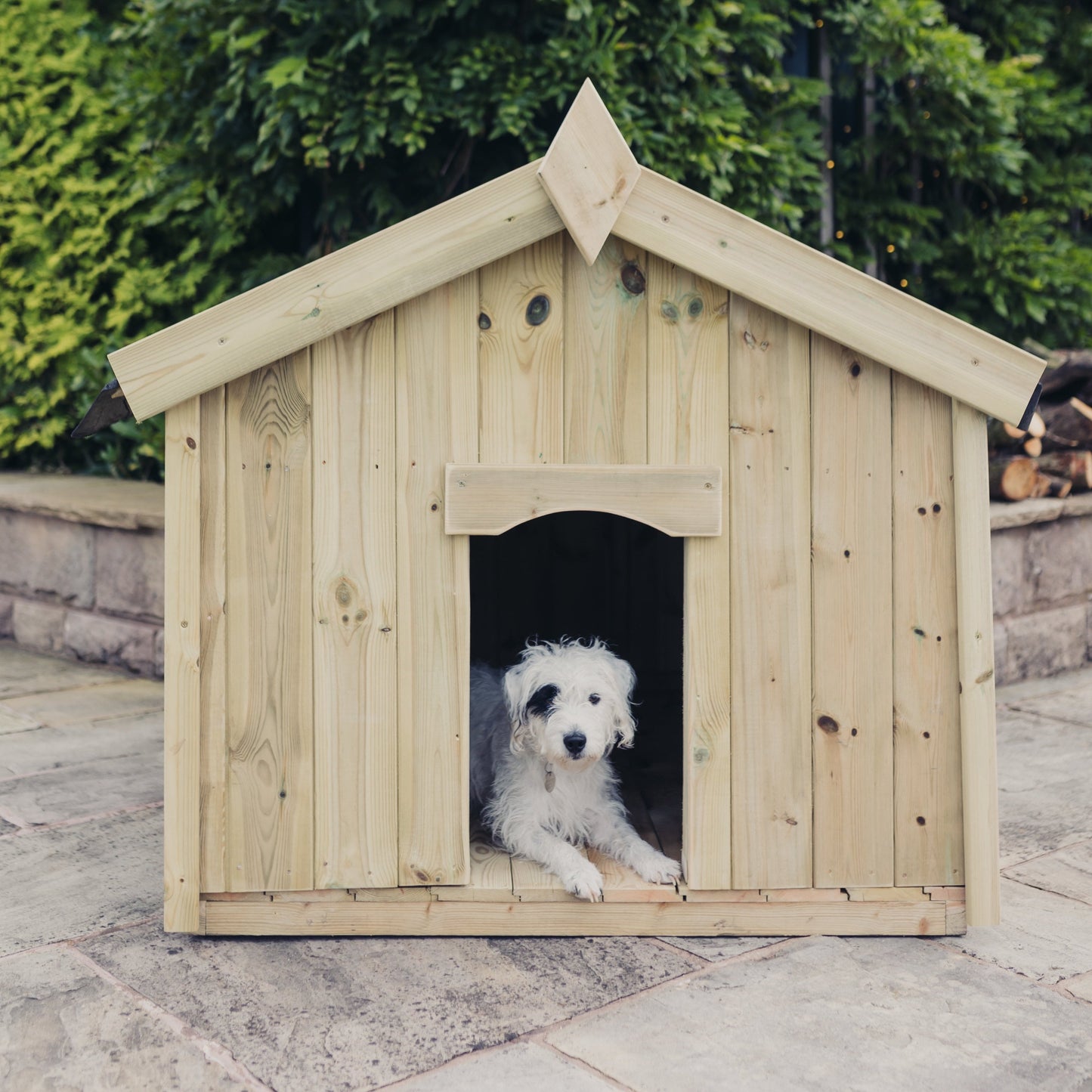Apex Dog Kennel