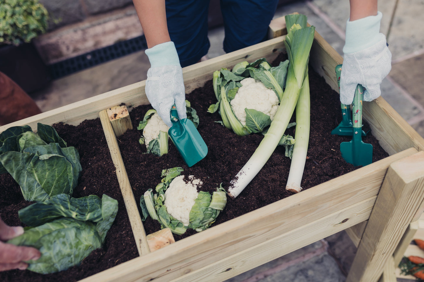 Raised Vegetable Planters