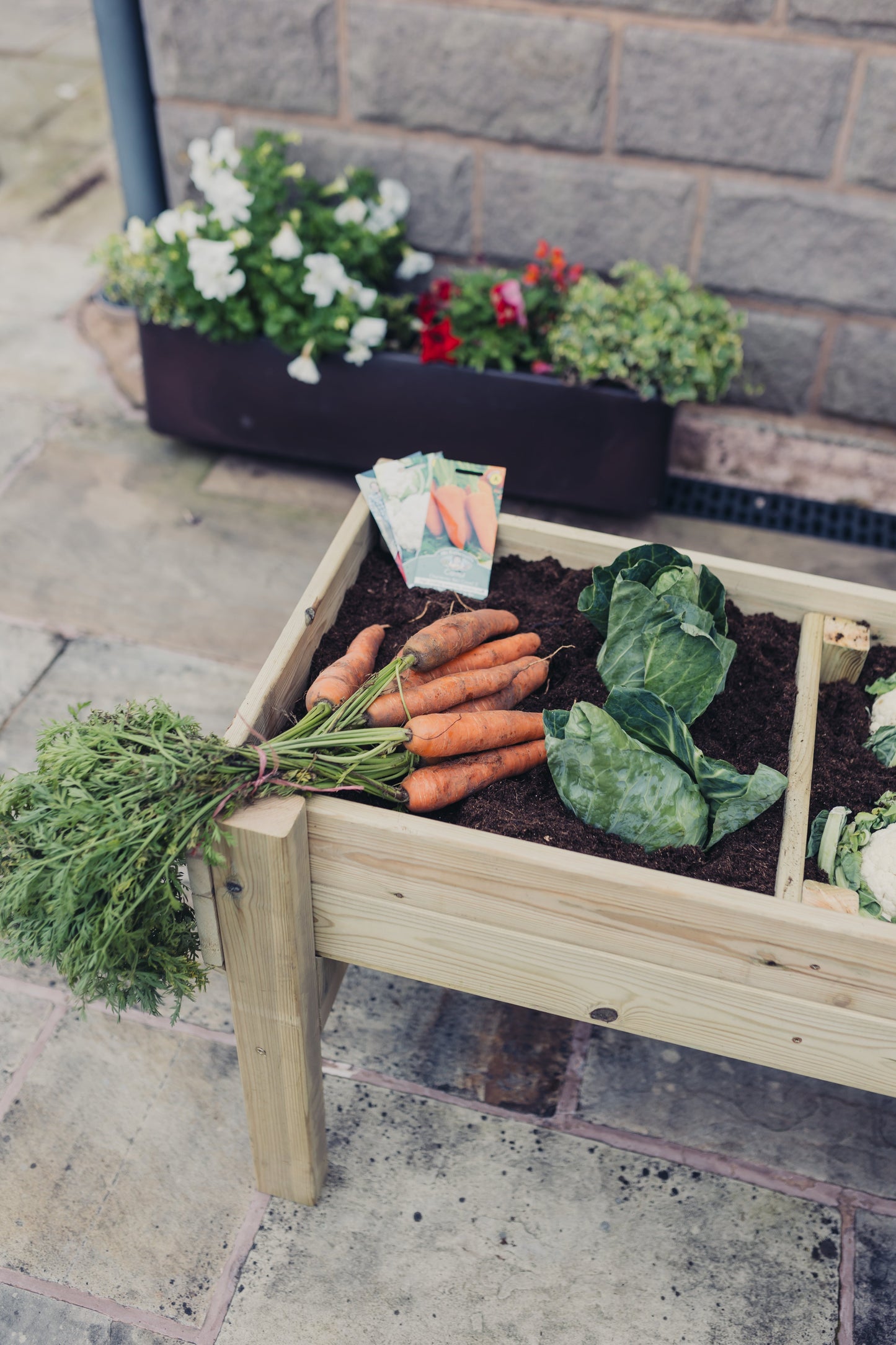 Raised Vegetable Planters