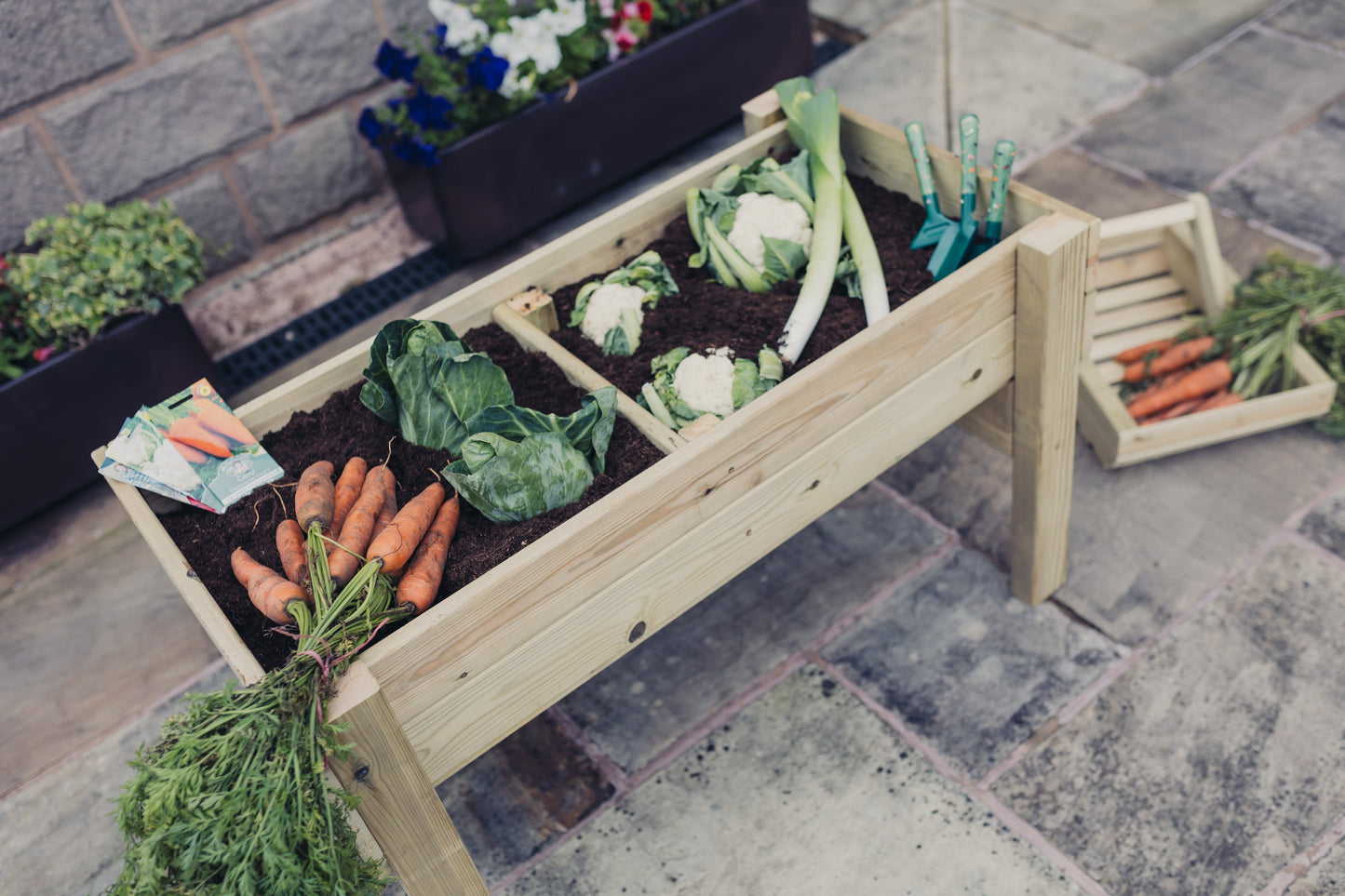 Raised Vegetable Planters