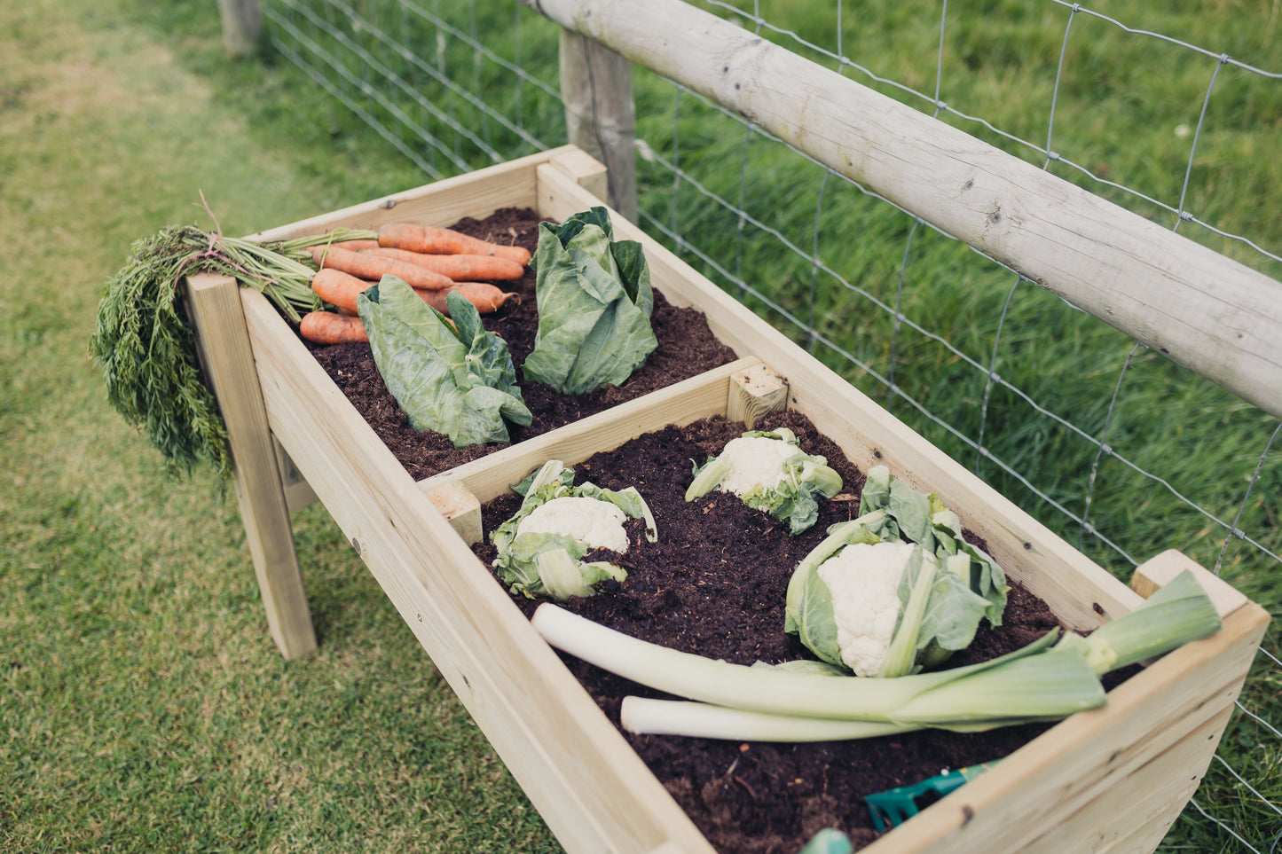 Raised Vegetable Planters