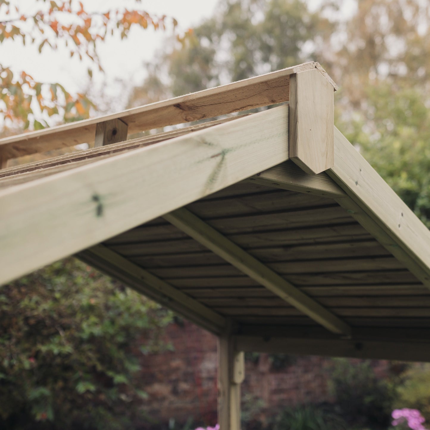 Valencia BBQ Shelter