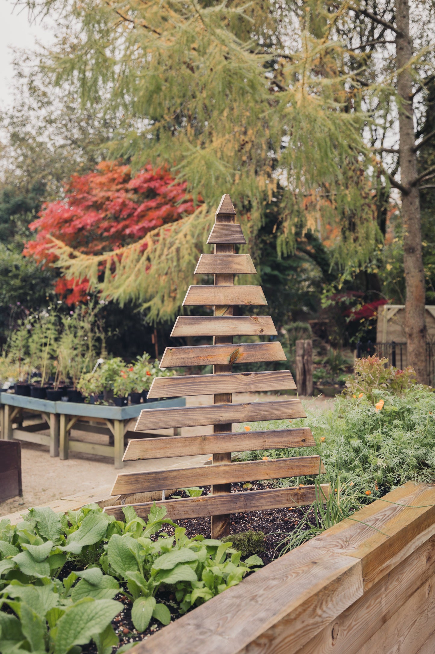 Rustic Wooden Christmas Tree