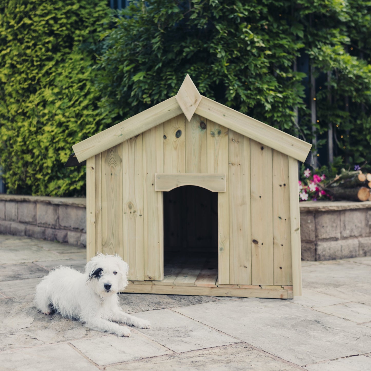 Apex Dog Kennel