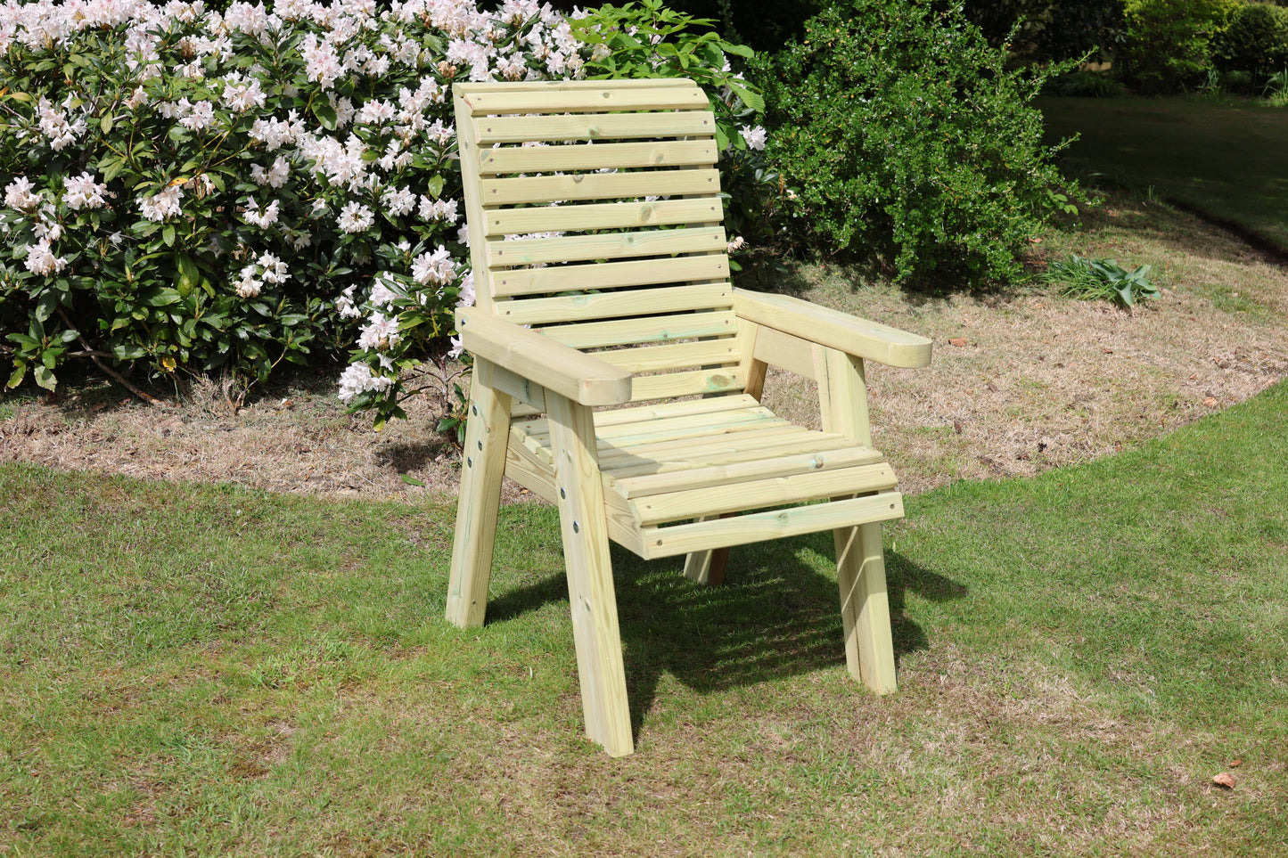 Ergonomic Chair
