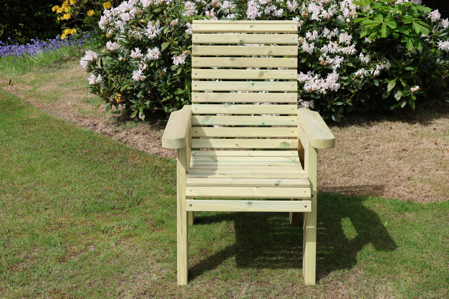 Ergonomic Chair