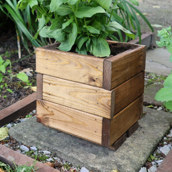 Square Planter 21cm x 21cm x 22.5cm