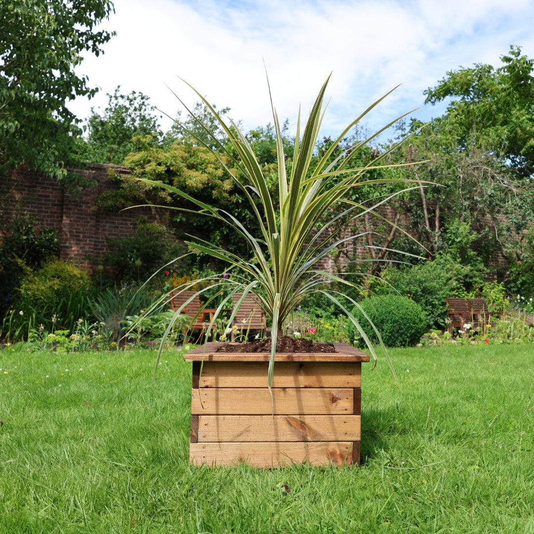Square Planter 48cm x 48cm x 31.5cm