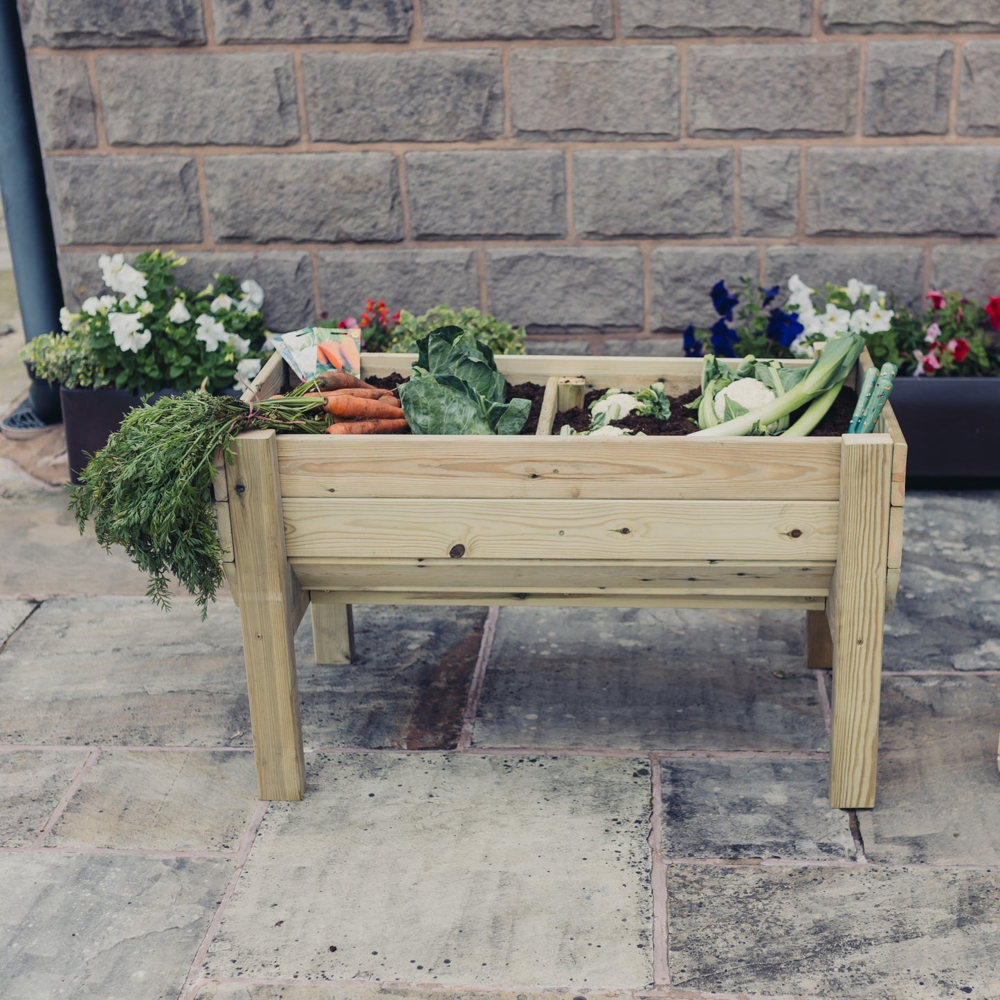 Raised Vegetable Planters